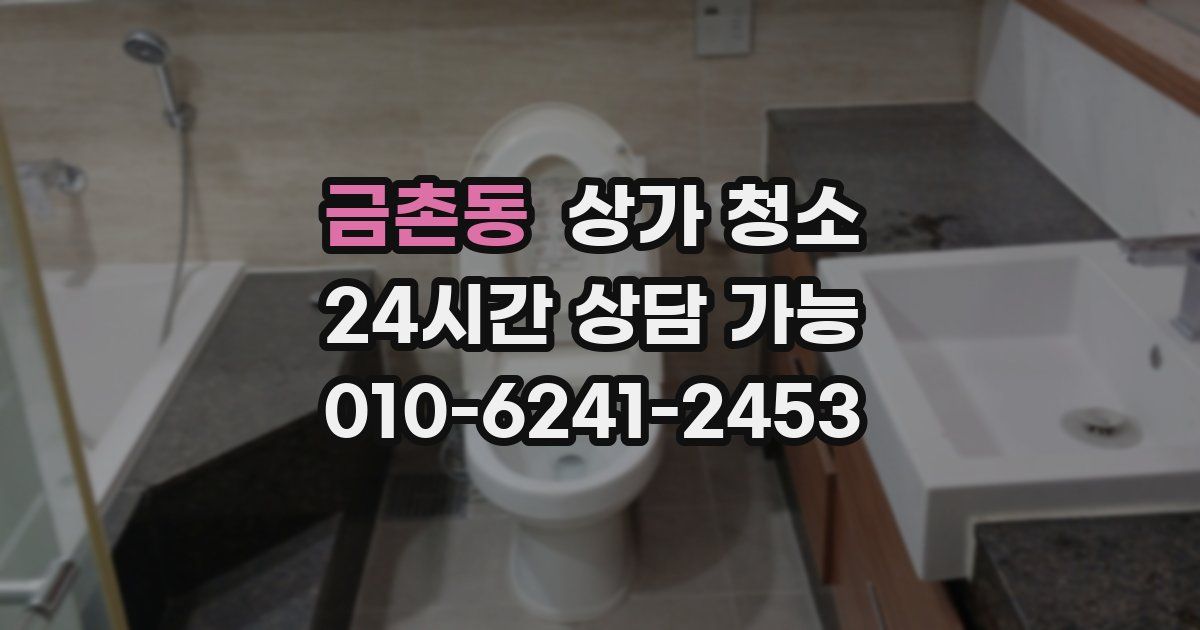 금촌동 상가 청소