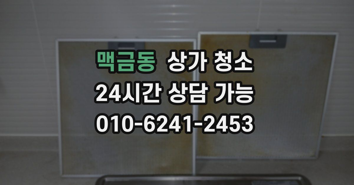 맥금동 상가 청소
