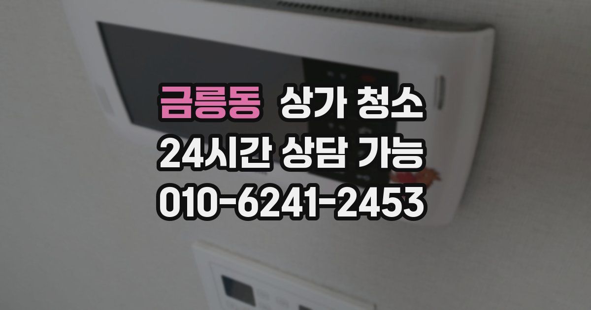 금릉동 상가 청소