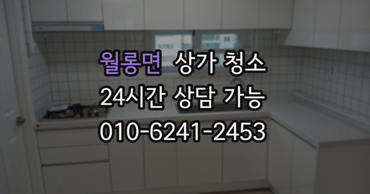 월롱면 상가 청소