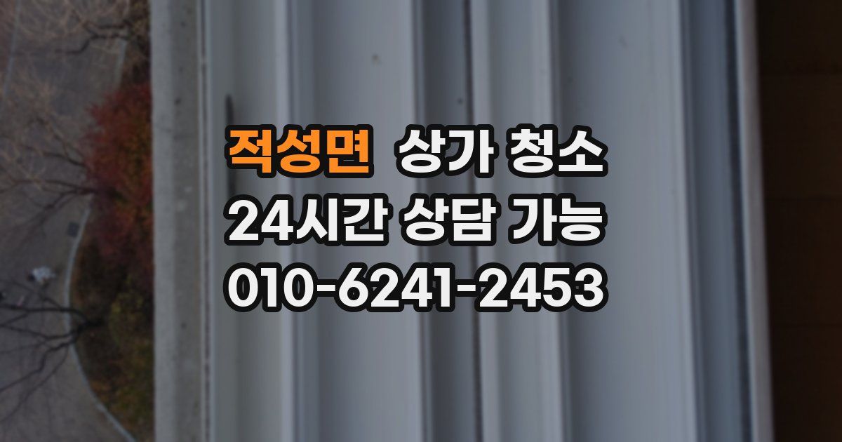 적성면 상가 청소