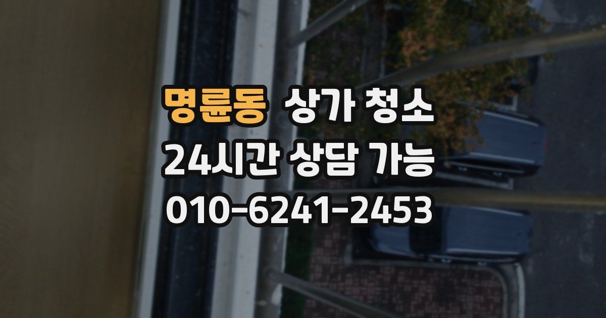 명륜동 상가 청소