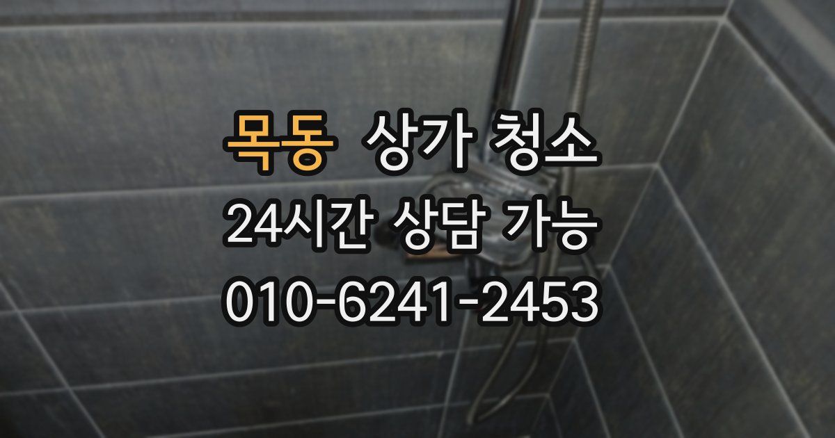 목동 상가 청소