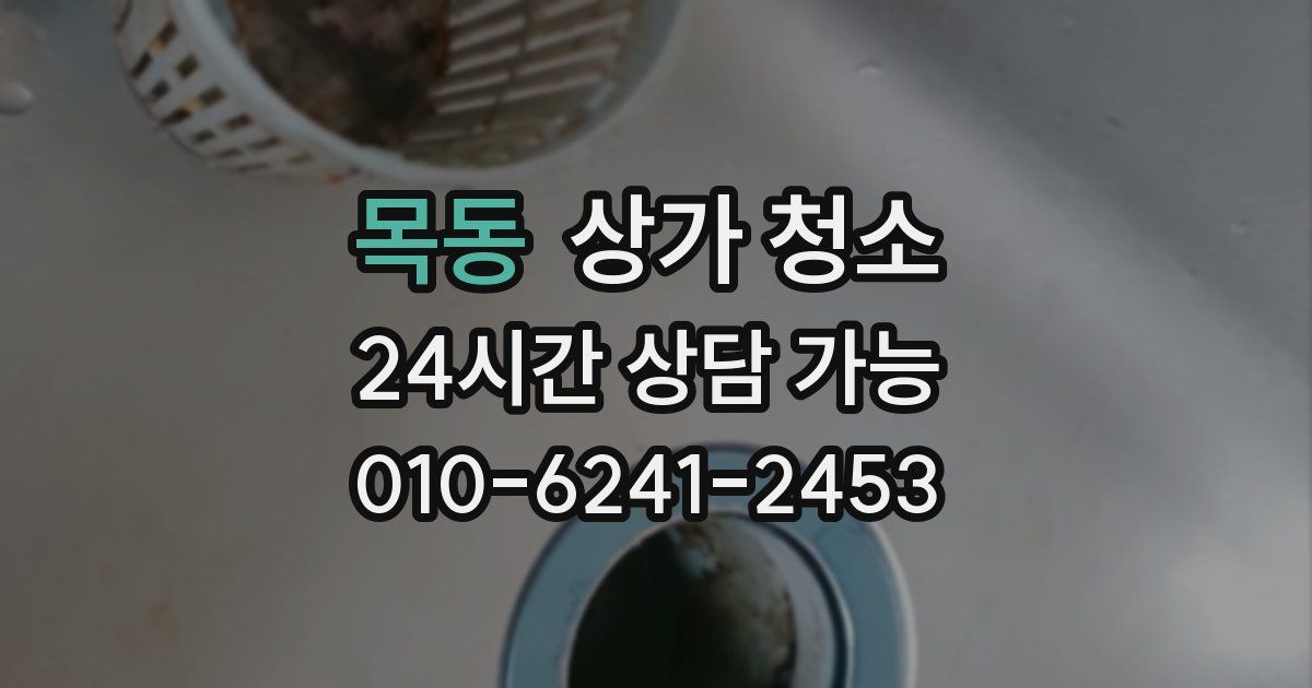 목동 상가 청소