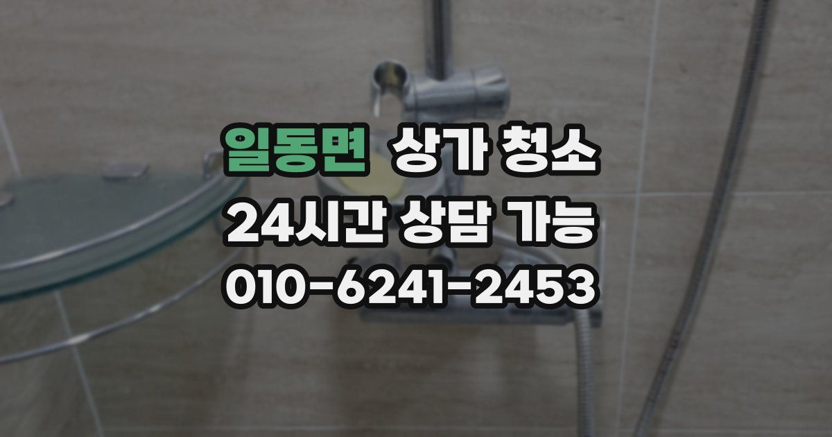 일동면 상가 청소