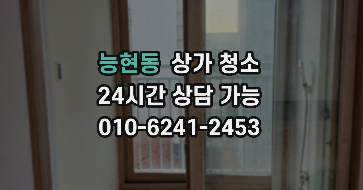 능현동 상가 청소