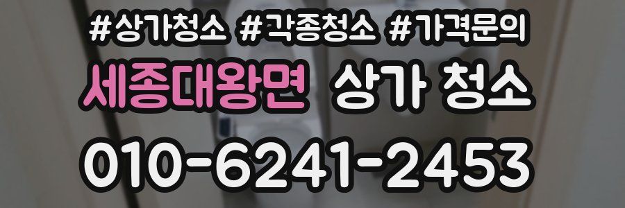 세종대왕면 상가 청소