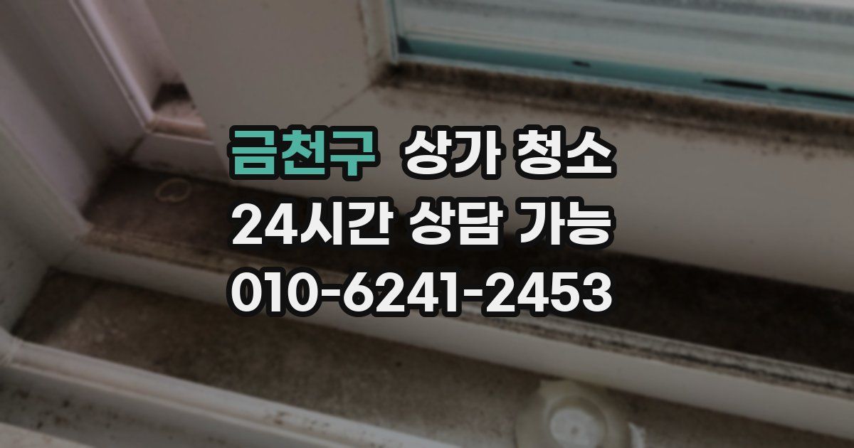 금천구 상가 청소