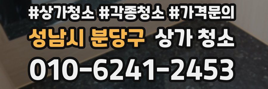 성남시 분당구 상가 청소
