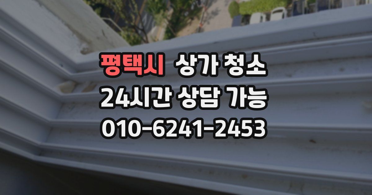 평택시 상가 청소