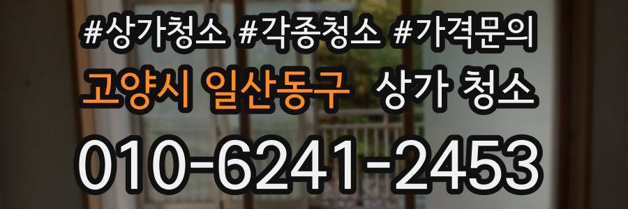고양시 일산동구 상가 청소