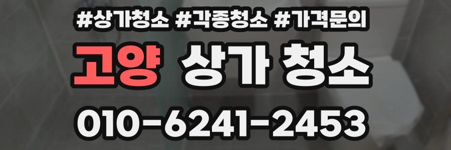 고양 상가 청소