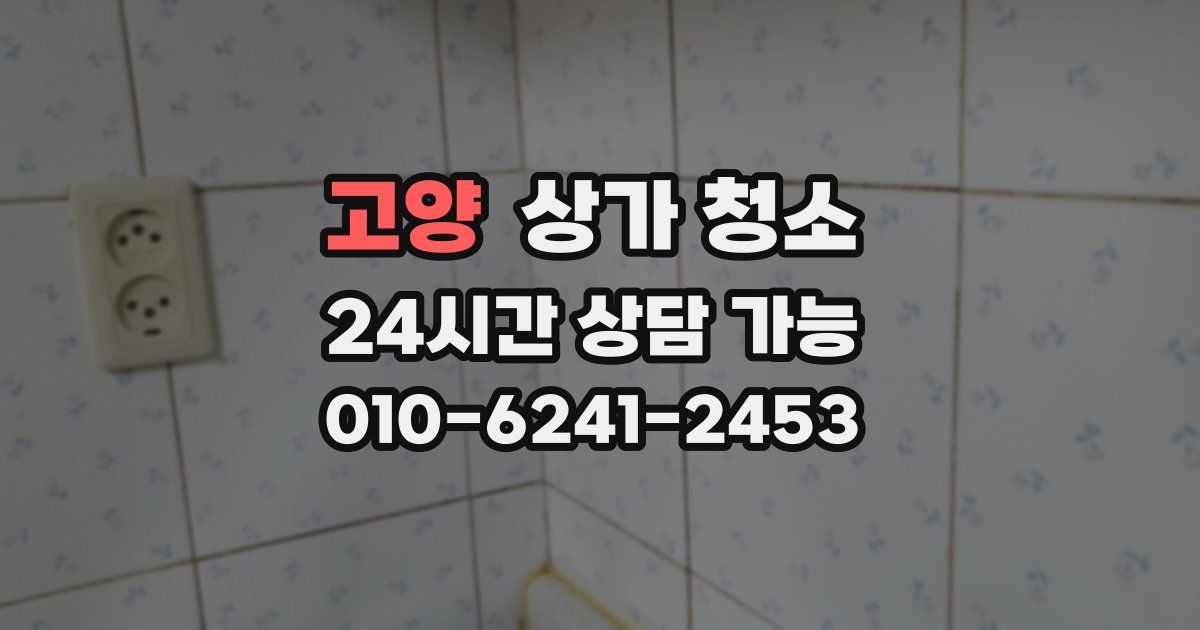 고양 상가 청소