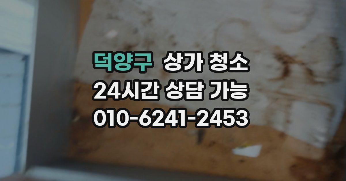 덕양구 상가 청소