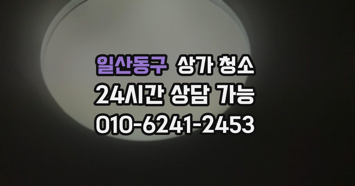 일산동구 상가 청소