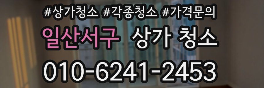 일산서구 상가 청소
