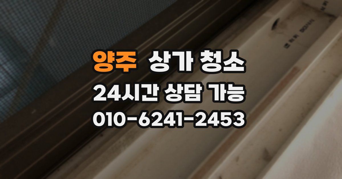 양주 상가 청소
