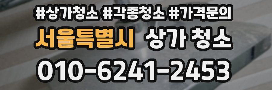 서울특별시 상가 청소