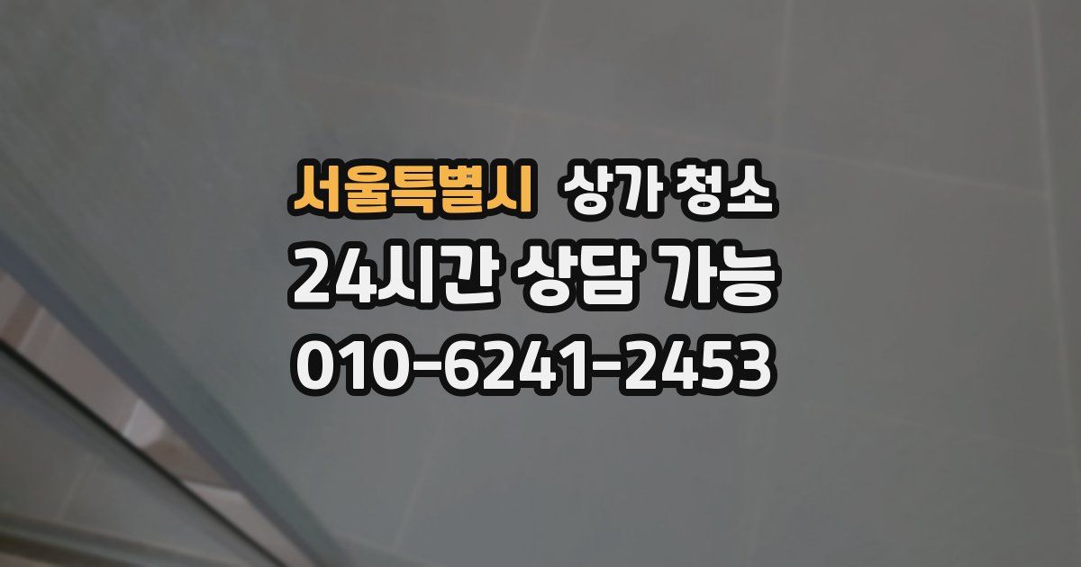 서울특별시 상가 청소