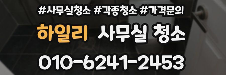 하일리 사무실 청소