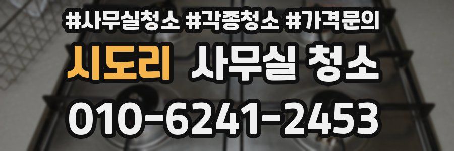 시도리 사무실 청소