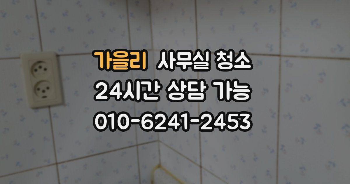 가을리 사무실 청소
