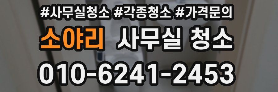 소야리 사무실 청소