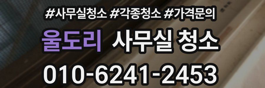 울도리 사무실 청소
