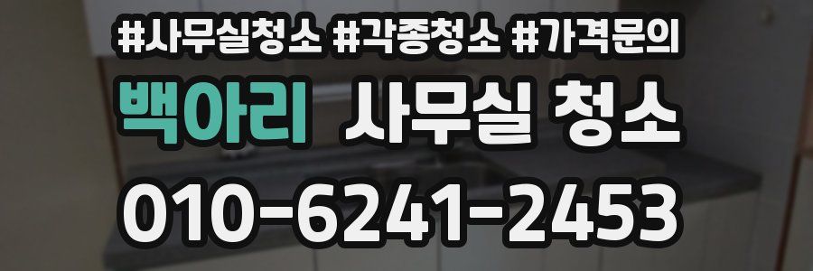 백아리 사무실 청소