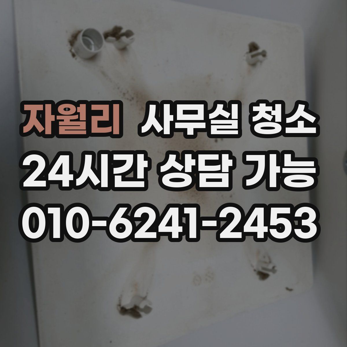 자월리 사무실 청소