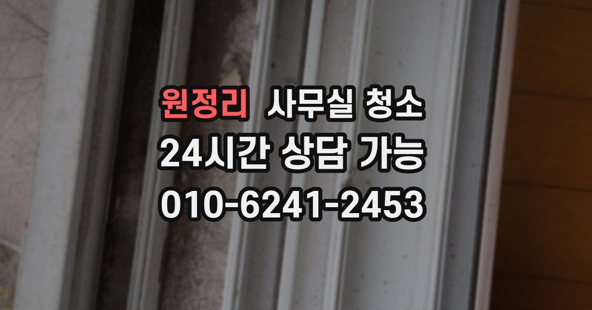 원정리 사무실 청소