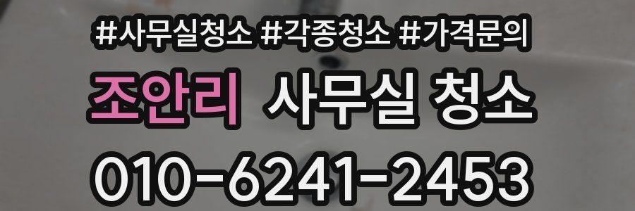 조안리 사무실 청소