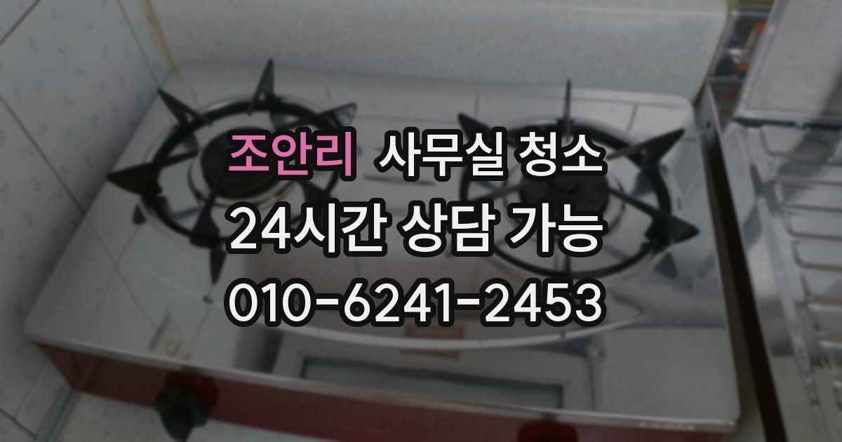 조안리 사무실 청소
