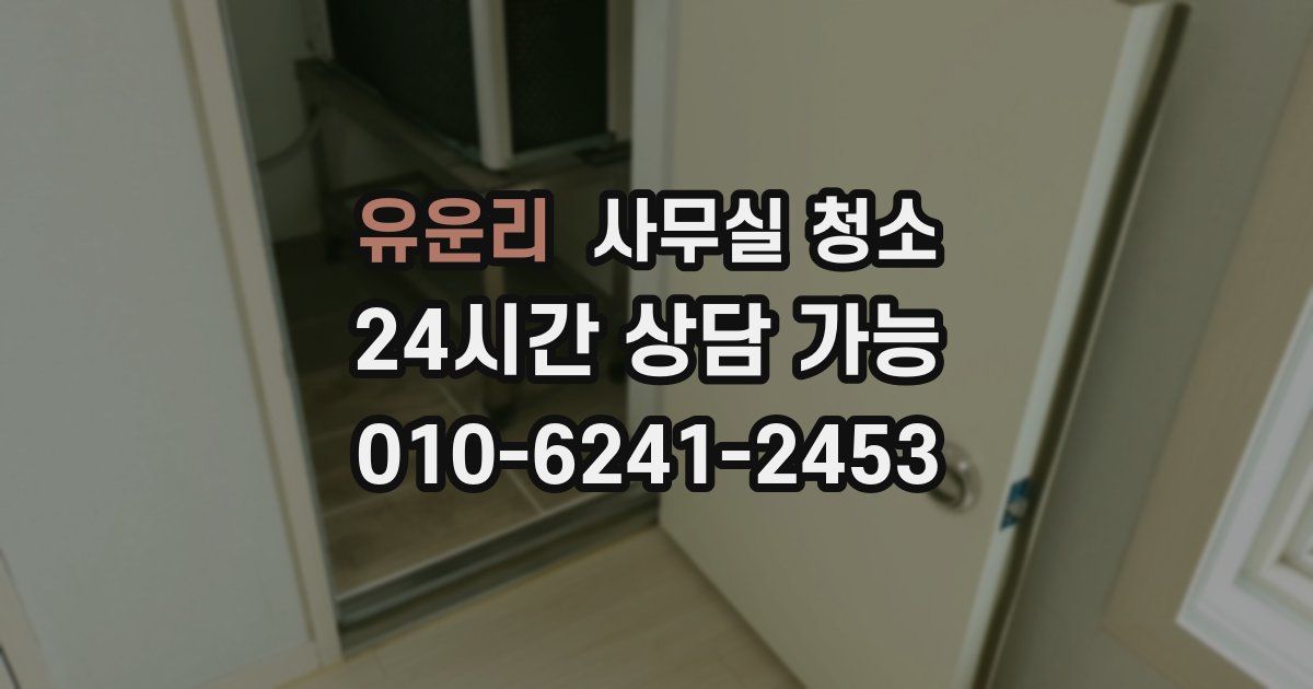 유운리 사무실 청소