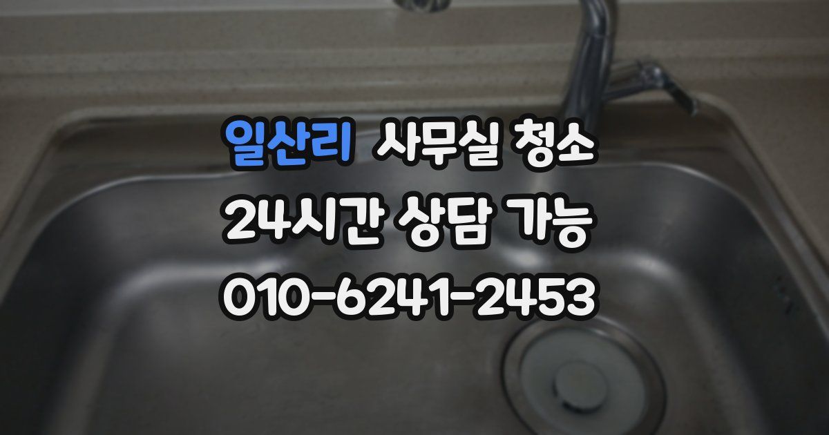 일산리 사무실 청소