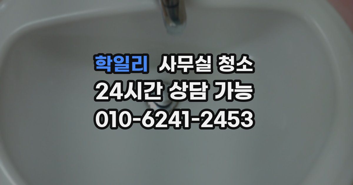 학일리 사무실 청소