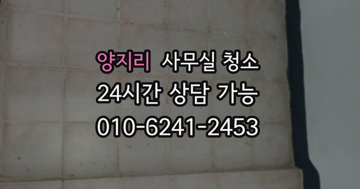 양지리 사무실 청소