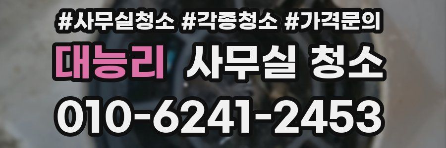 대능리 사무실 청소