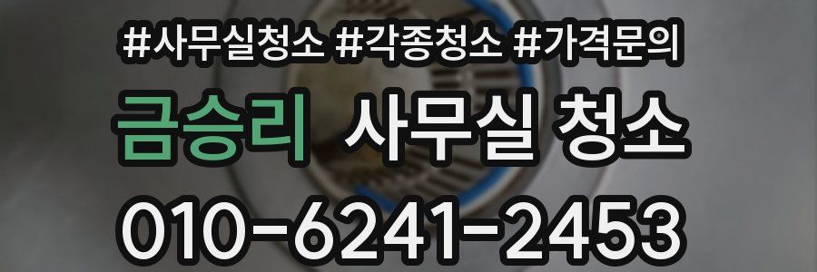 금승리 사무실 청소