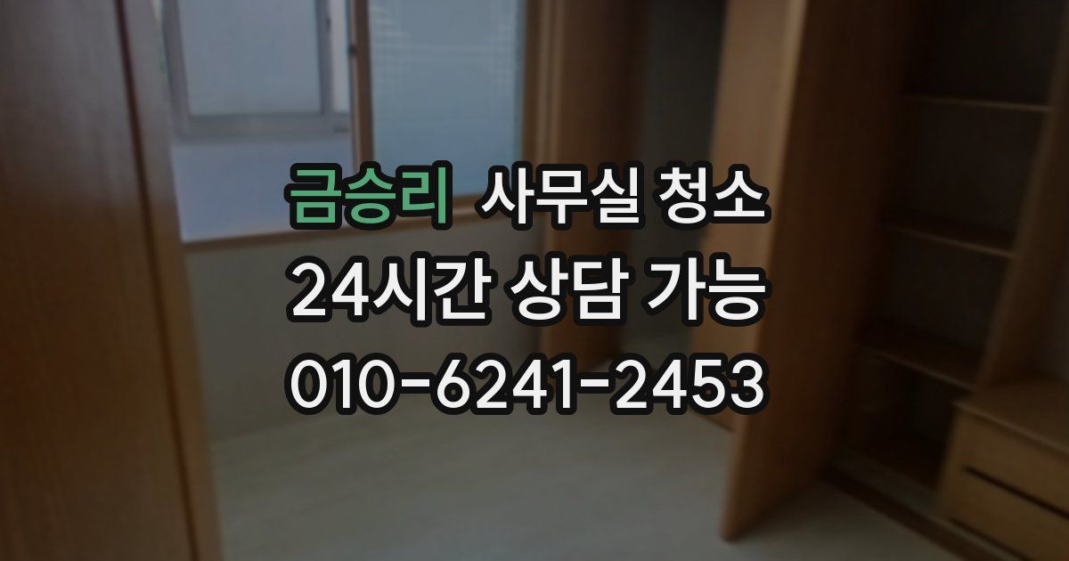 금승리 사무실 청소