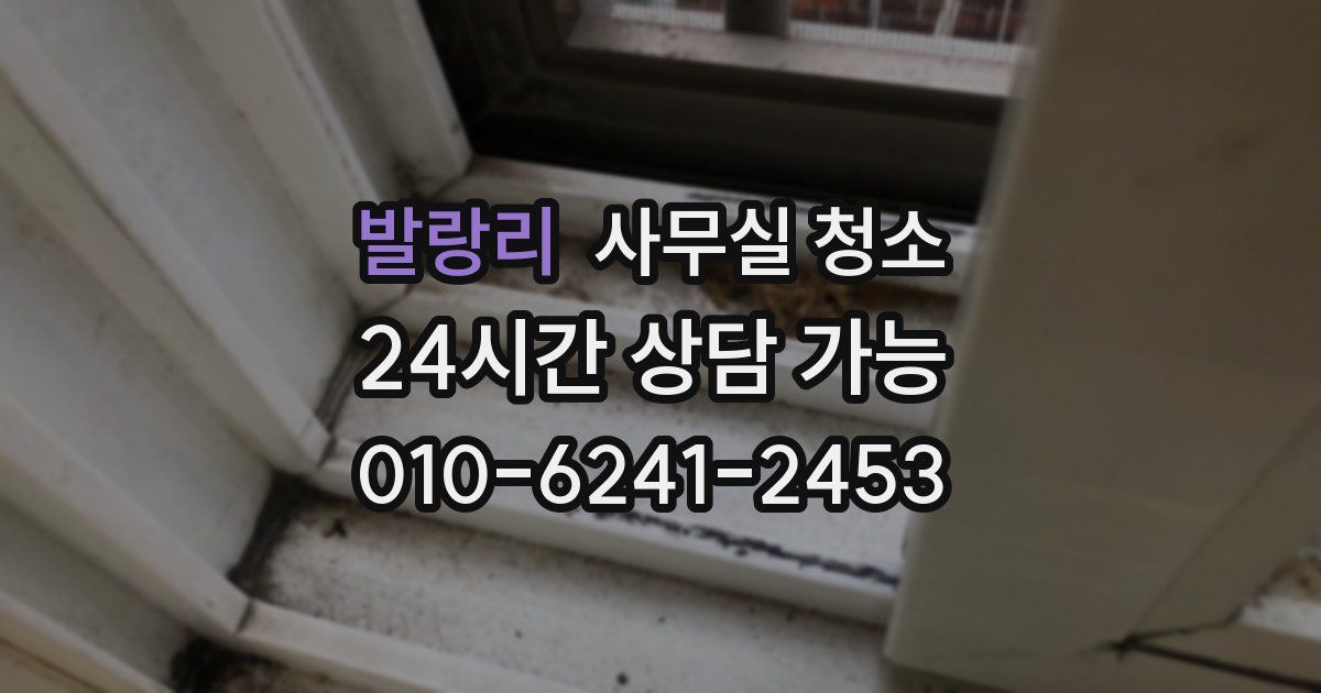 발랑리 사무실 청소