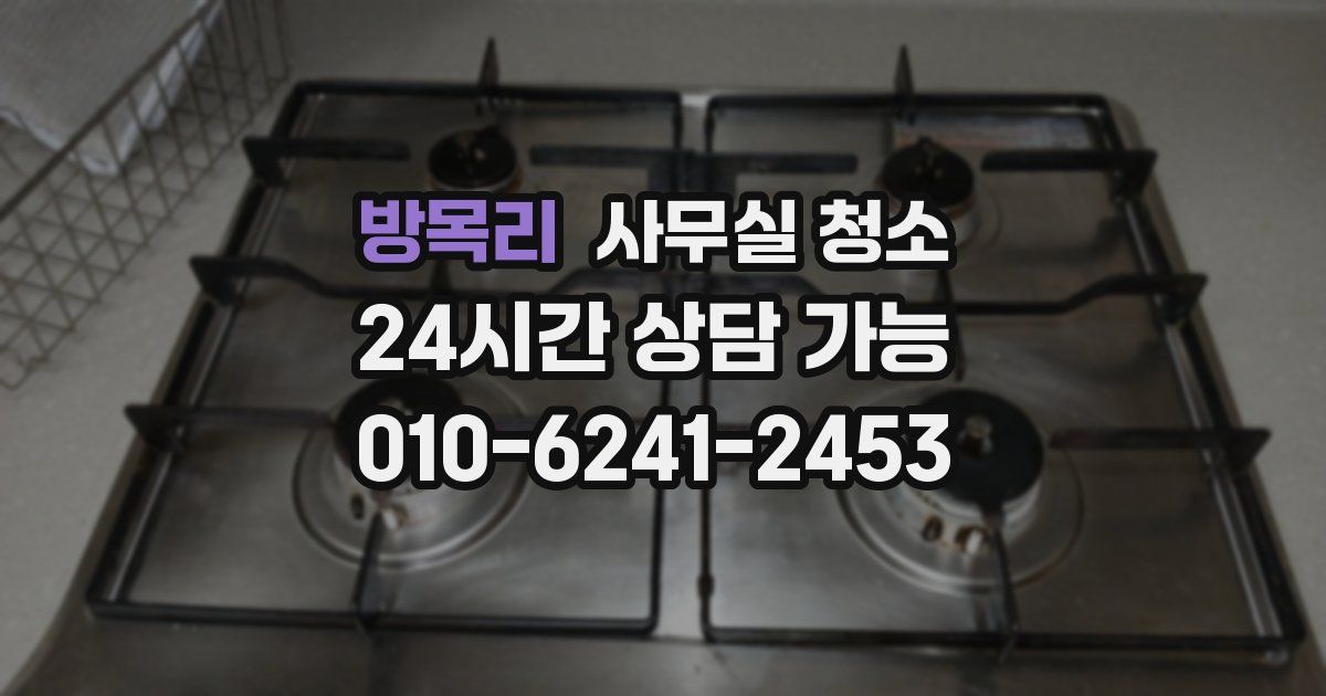 방목리 사무실 청소
