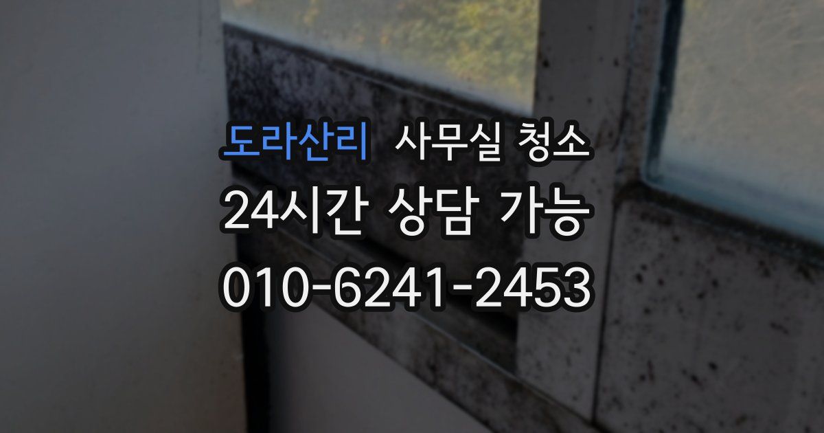 도라산리 사무실 청소