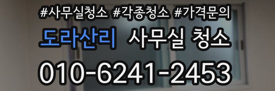 도라산리 사무실 청소
