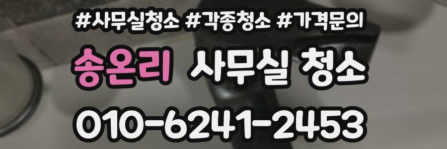 송온리 사무실 청소