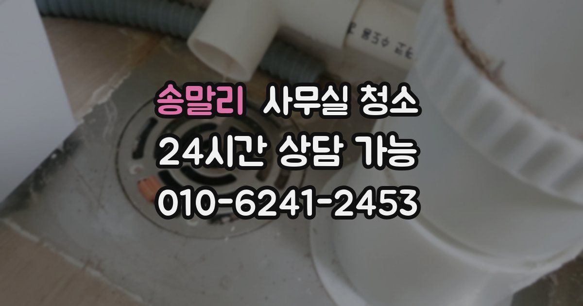 송말리 사무실 청소