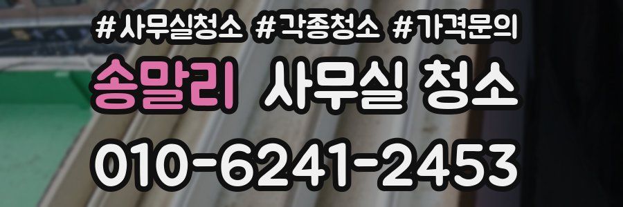 송말리 사무실 청소