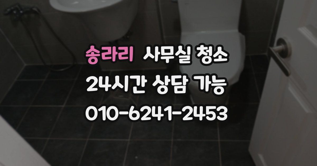 송라리 사무실 청소