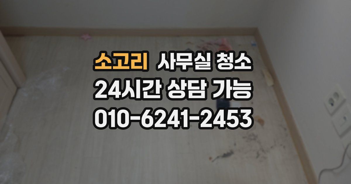 소고리 사무실 청소