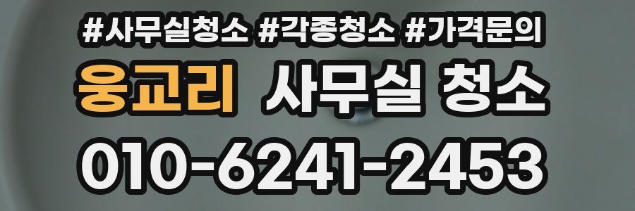 웅교리 사무실 청소